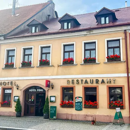 Fogl Hotel Nová Bystřice