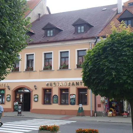 Fogl Nova Bystrice