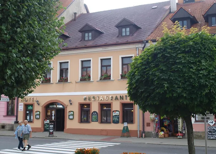 Fogl Nova Bystrice